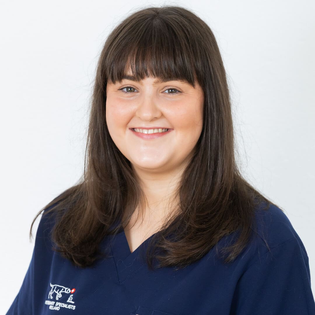 Ellen Walsh
